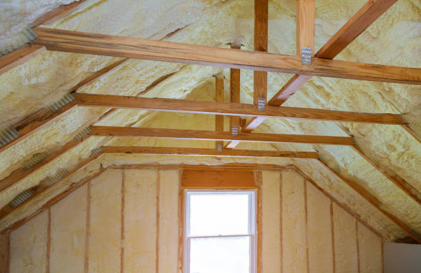 Best Professional Insulation Contractor  in Riverside, UT