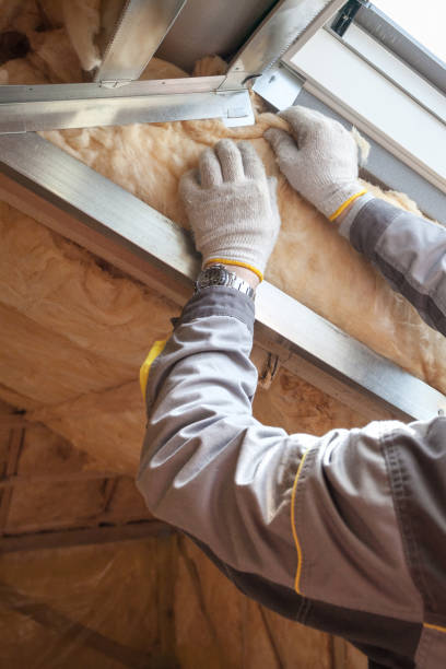 Best Insulation Repair Services  in Riverside, UT