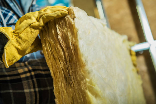 Best Insulation for New Construction  in Riverside, UT