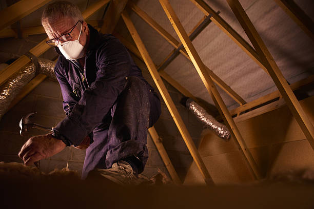 Best Professional Insulation Contractor  in Riverside, UT